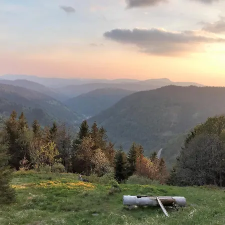 Apartmán Schwarzwaldnest *