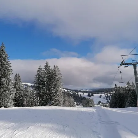 Schwarzwaldnest Feldberg (Baden-Wurttemberg)
