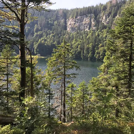 Schwarzwaldnest Feldberg (Baden-Wurttemberg)