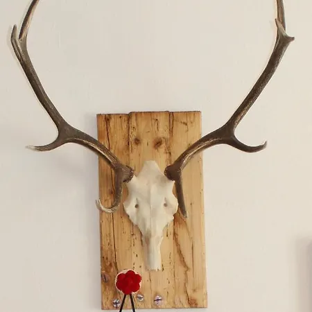 Schwarzwaldnest * Feldberg (Baden-Wurttemberg)