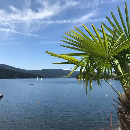 Schwarzwaldnest Apartmán Feldberg (Baden-Wurttemberg)