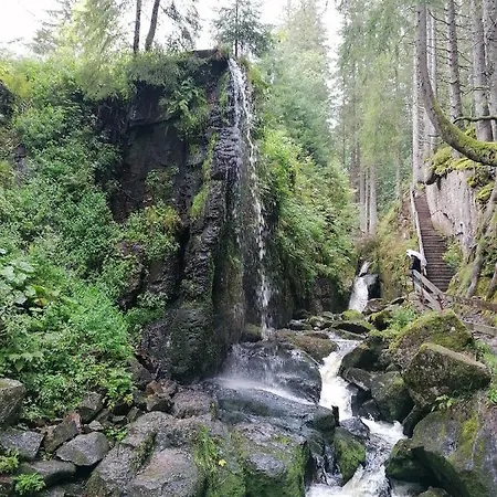 Schwarzwaldnest Feldberg (Baden-Wurttemberg)