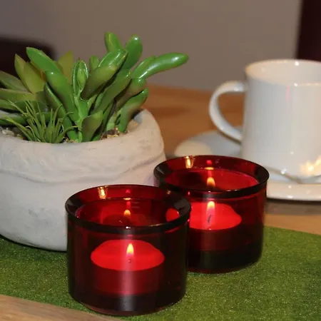 Schwarzwaldnest Apartmán