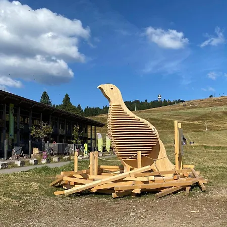 Apartmán Schwarzwaldnest