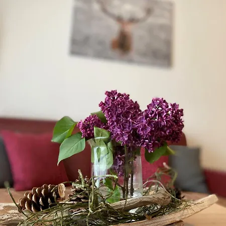 Schwarzwaldnest Feldberg (Baden-Wurttemberg)