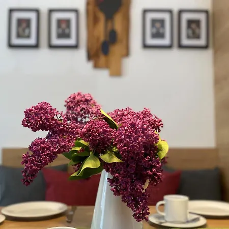 Schwarzwaldnest * Feldberg (Baden-Wurttemberg)