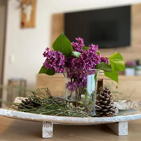 Apartmán Schwarzwaldnest *