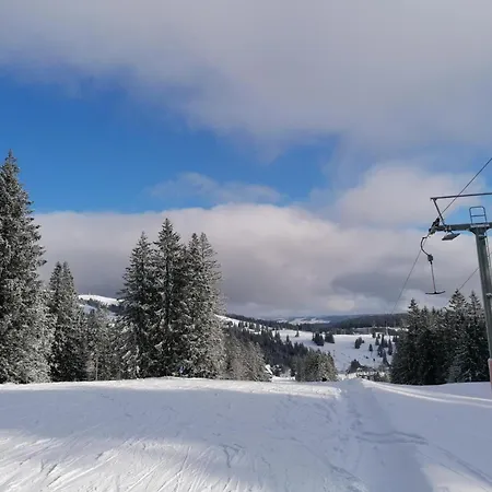 Schwarzwaldnest Feldberg (Baden-Wurttemberg)