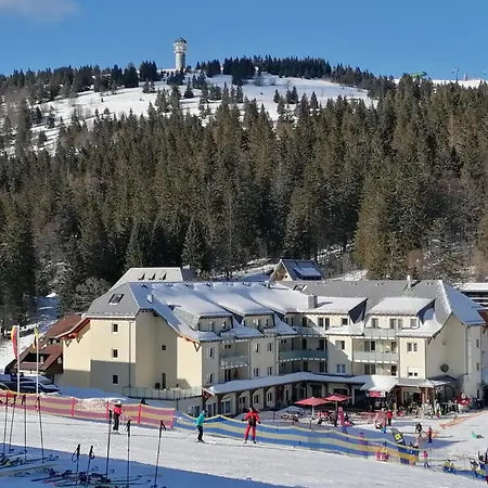 Daire Schwarzwaldnest Feldberg (Baden-Wurttemberg)